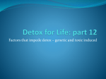 Detox for Life: part 12