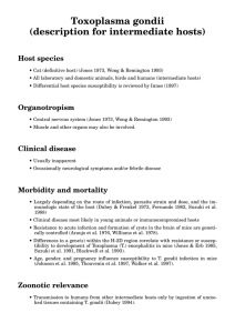 Toxoplasma gondii (description for intermediate hosts) - GV