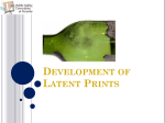 Development of Latent Prints