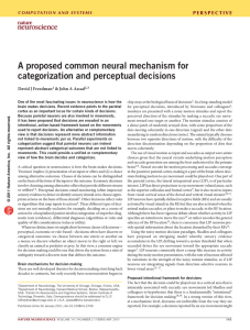 A proposed common neural mechanism for categorization and