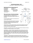 The Endocrine System - Part 1