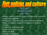 Plants, Medicine, and Culture