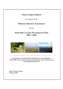 Habitats Directive Assessment