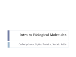 Biological Molecules - Westgate Mennonite Collegiate