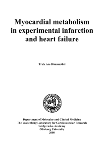 Myocardial metabolism in experimental infarction and heart failure