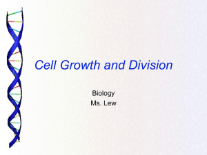 3-cell-cycle-and-division-mitosis-16-17