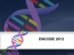encode 2012