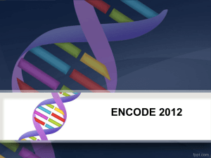encode 2012
