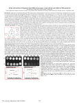 Design and Synthesis of Manganese based MRI contrast agent: A