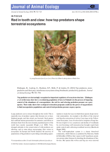 Red in tooth and claw: how top predators shape terrestrial ecosystems