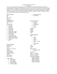 Geometry glossary Assignment