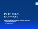 Pain in Secure Environments