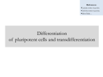 Slides - Workforce Development in Stem Cell Research