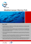 Mediterranean Marine Fish