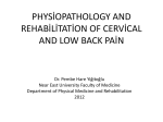 Physiopathology and Rehabilitation of Cervical and Low Back Pain