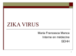 zika virus