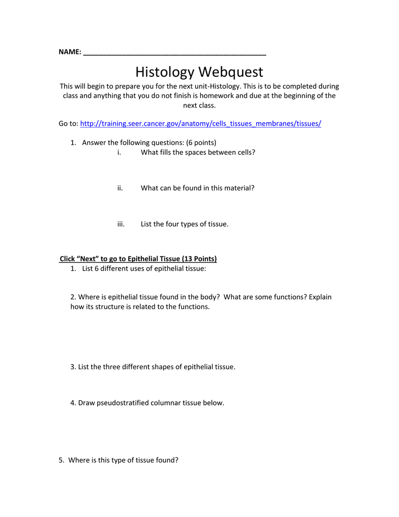 epithelial-tissue-worksheet-answers-worksheet-list