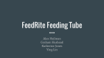 FeedRite Feeding Tube