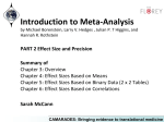 Introduction to Meta