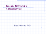 Neural Networks A Statistical View
