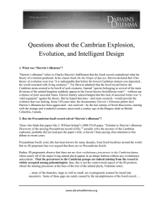 Questions about the Cambrian Explosion, Evolution, and Intelligent
