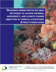 DESIGNING MARINE PROTECTED AREA NETWORKS TO