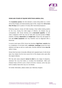 SIGNS AND STAGES OF EQUINE INFECTIOUS ANEMIA