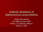 Antibiotic Resistance of Staphylococcus aureus Biofilms