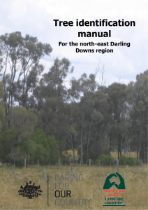 Tree identification manual - North East Downs Landcare Group Inc