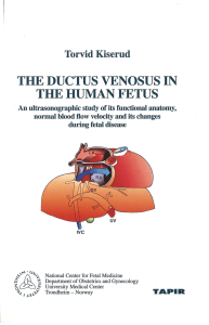 the ductus venosus in the human fetus