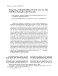 Leupeptin, a Calpain Inhibitor, Protects Inner Ear Hair Cells from