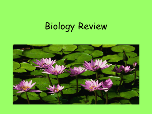 Year Long Biology EOC Review PPT