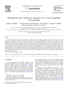 Phylogenetic and evolutionary analyses of St. Louis encephalitis