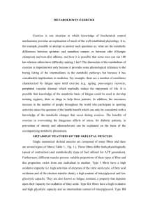 Metabolism of exercise