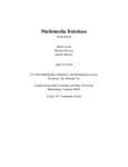 MMDB Final Report. - VTechWorks
