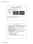Enzymes: Regulation 1