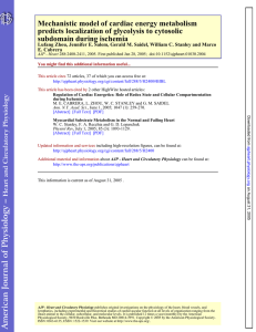 Mechanistic model of cardiac energy metabolism predicts