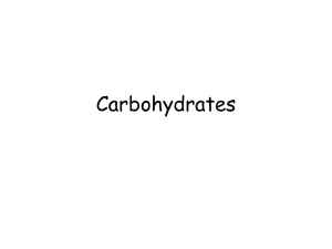 Carbohydrates - Seattle Central
