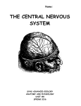 unit #8: central nervous system