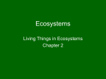 Ecosystems - Manasquan Public Schools