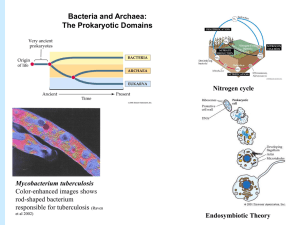 Chapter 26: Bacteria and Archaea: the Prokaryotic Domains