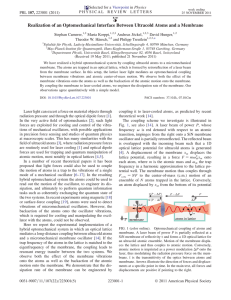 Realization of an Optomechanical Interface