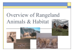 Overview of Rangeland Animals and Habitat