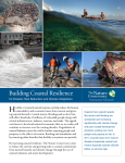 Building Coastal Resilience for Disaster Risk Reduction and Climate