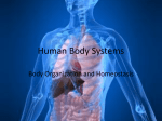 Human Body Systems - Fall River Public Schools