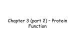 Chapter 3 (part 2) – Protein Function