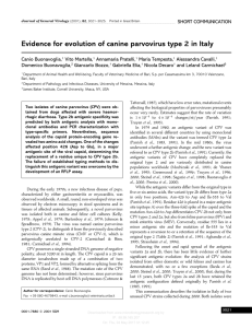 Evidence for evolution of canine parvovirus type 2 in Italy