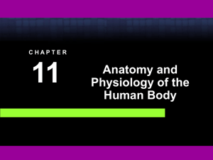 Chapter 11 - Horizon Medical Institute