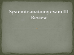 Systemic anatomy exam III Review