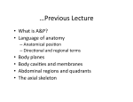 …Previous Lecture